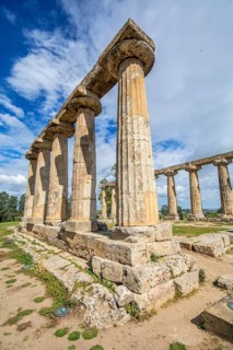 Columns of the Doric Temple of Hera, archaeological site site of Metaponto, Bernalda, Basilicata