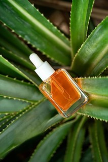 A glass dropper bottle of orange Vitamin C facial serum is cradled among thick green aloe vera