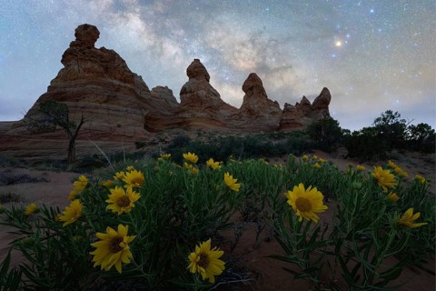 Starry night sky over Coyote Buttes in the Paria Canyon-Vermilion Cliffs Wilderness, Arizona,