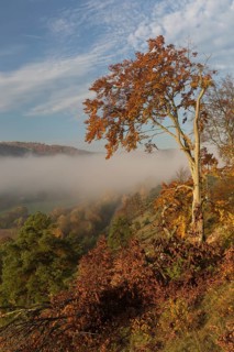 Sunrise close to the 12 Apostels rock formation in the Altmühl valley nature park close to