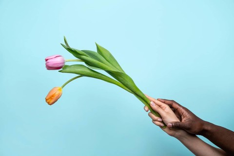 A close-up shot of multiethnic hands of a man and woman gently holding a vibrant flower,