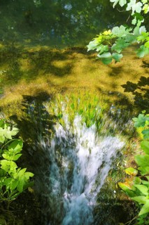 Small waterfall at the Gönningen lakes, calcareous tufa nature trail, idyll, nature, at the foot of