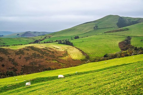 Autumn colors over Farms and Fields, Wales, UK