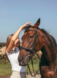 A young girl gently interacts with a brown horse in a sunny outdoor setting. The horse wears a