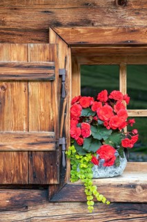 The Ladiz-Alm, the high alpine pasture of the Eng-Alm, window of the alpine hut, Ladiz-Alm,