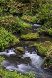 Flowing, silky water with ferns and rocks in the Edmunds Gorge, river Kamnitz, Hrensko, Ustecky