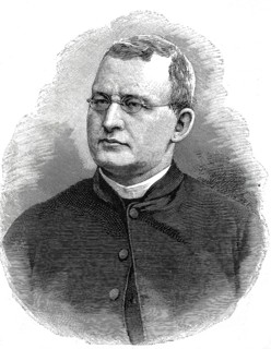 Hermann Jakob Dingelstad (2 March 1835 - 6 March 1911), German Roman Catholic theologian and Bishop