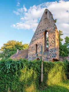 Monastery ruins in the evening light, Lindow (Mark), Brandenburg, Germany