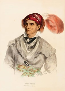 Tah-Chee (Dutch), A Cherokee Chief (1837), Native American, Historical Native American tribes from