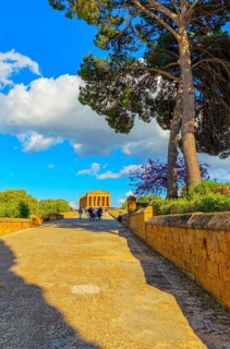 Temple of Concordia, Valley of Temples, Agrigento, Sicily, Italy