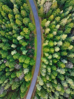 A bird's eye view of the road as it curves through dense green forests, Agenbach, Black Forest,