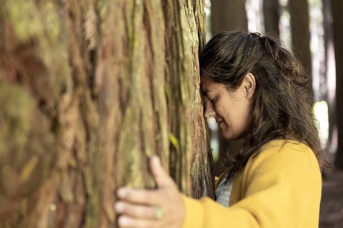 A woman in a yellow sweater hugs a tree in a forest, eyes closed, expressing a deep connection to