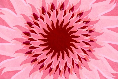 An artistic floral background featuring a layered pattern of pink and red abstract petals in a