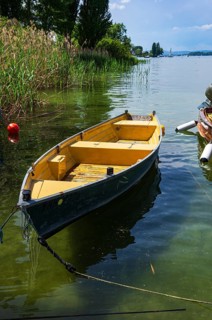 Shoreline landscape and moored boats on the edge of Lake Constance on the island of Reichenau,