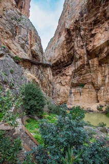 The impressive Caminito del Rey gorge with lush vegetation and natural formations, Malaga, Spain