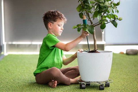 A young boy in a green shirt and brown pants sits on green indoor carpet, tending to a potted plant
