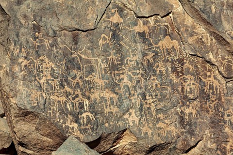 Detailed animal engravings on a rock face, rich in historical art motifs, petroglyphs on rocks in
