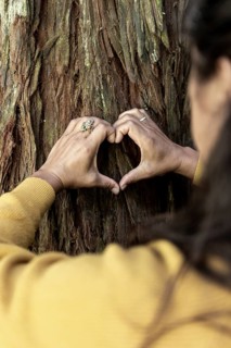 Hands form a heart shape against a textured tree trunk, symbolizing connection and love for nature