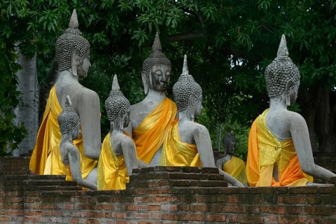 Stone Buddha statues draped in vibrant yellow cloth sit peacefully against a backdrop of lush green