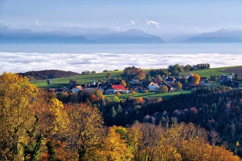 Village view of Juriens with view of Mont Blanc, fog over Lake Geneva, Canton of Vaud, Switzerland