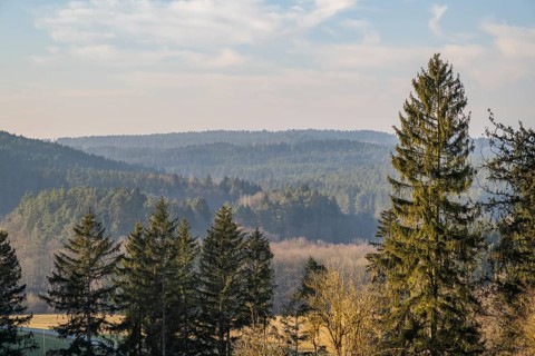 View over the trees and forest of the upper palatinate forest in winter, Bavaria, Germany