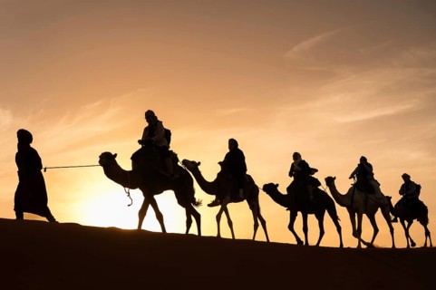 SAHARA, MOROCCO - OCTOBER 4, 2024. Bedouin leads a caravan in the desert during sunrise