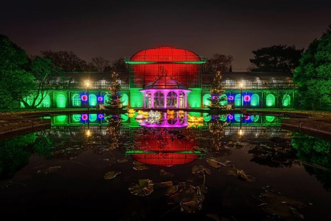 From 9 December 2023 to 14 January 2024, the Palmengarten in Frankfurt am Main will host the Winter