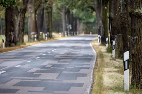 Typical country road with avenue, the road has been repaired several times and resembles a