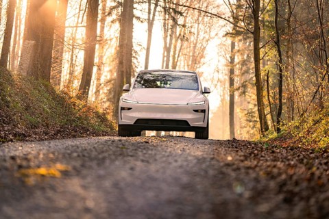 White car driving on a gravel road in the forest in sunlight, Tesla, New Model Y, Black Forest,
