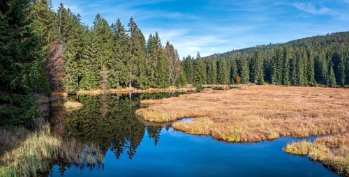Kleiner Arbersee lake in autumn, Bavarian Forest, Lower Bavaria, Bavaria, Germany