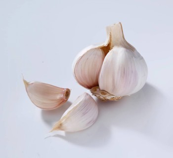 Garlic (Allium sativum), on a white background, studio shot