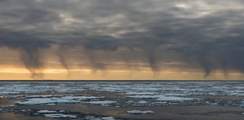Snow shower from dark clouds, sea ice, pack ice edge, Arctic Ocean, Spitsbergen, Svalbard Islands,