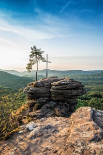 Sandstone rock with pine tree and summit cross, Rötzenfelsen, sunrise, Gossersweiler-Stein,