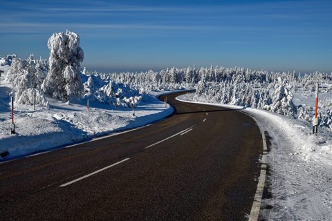 Black Forest High Road near the Schliffkopf, near Baiersbronn, Freudenstadt County, Black Forest,
