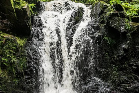 Waterfall, Windberg Waterfall, St Blasien, Southern Black Forest, Black Forest, Germany