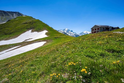 Mountain hut Refuge du Col de Balme, flower meadow and mountains, Col de Balme, Chamonix,