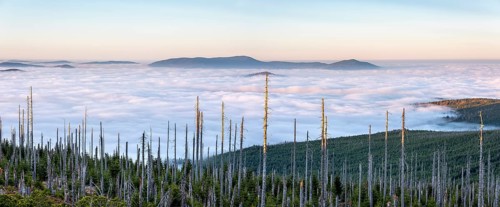 View from the Bavarian Plöckenstein on the border to the Czech Republic over the endless forests of