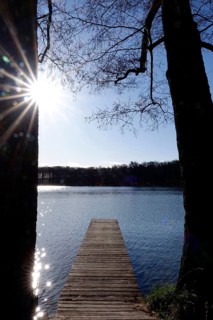 Werbellinsee, April, Brandenburg, Germany