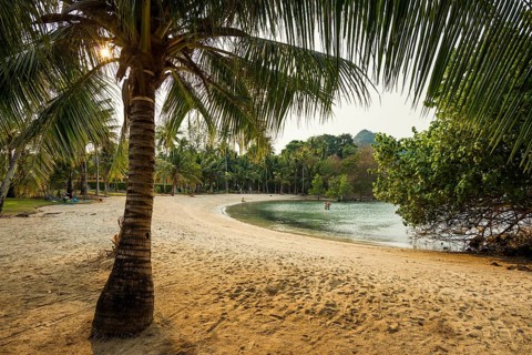 Picturesque beach with coconut palms and huts, sunset, Klong Son Beach, Ko Chang, Koh Chang, Mu Ko