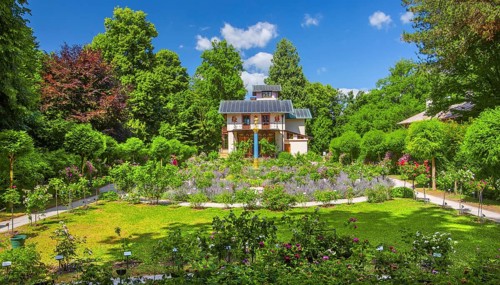 Rosarium with blooming roses in front of the Pompeian-Bavarian Casino on the Rose Island in Lake