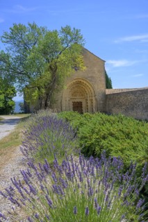 Lavender field in front of Notre Dame de Ganagobie Abbey with main portal on the west façade