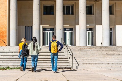 Horizontal full length photo with copy space of the rear view of university students arriving at