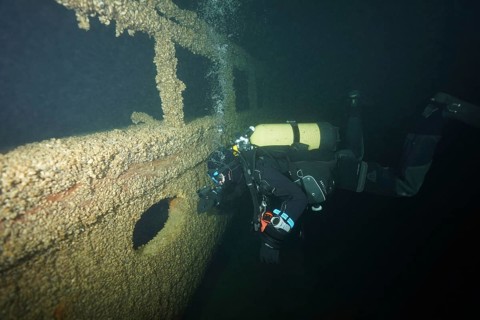 A diver examines a shipwreck covered with quagga triangle mussels (Dreissena rostriformis