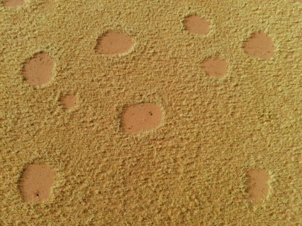 Fairy circles in the Giribisvlakte, aerial view, near Tomakas, Kaokoveld, Kunene Region, Namibia
