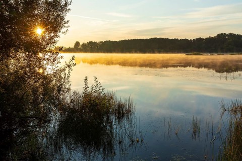 Light fog lies over the smooth water surface of the Quitzdorf dam at sunrise, Kollm, Upper Lusatia,