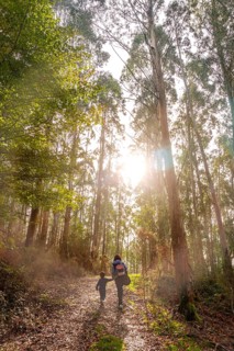 Mother and son in the forest on the Urdaburu mountain trail in Errenteria at sunset, Gipuzkoa.