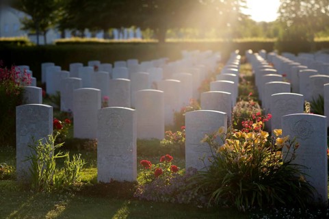 Gravestones, war graves, soldiers' graves, flowers, roses, British and German military cemetery,