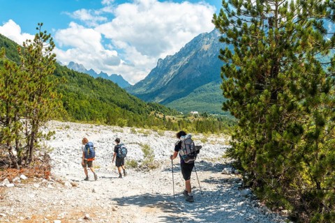 Hikers walking on the Valbona Valley trail alongside trees, Theth National Park, Albanian Alps,