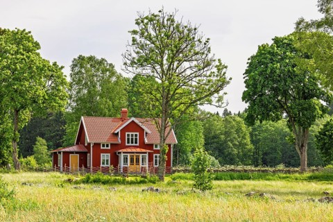 Idyllic red wooden house on a field by a forest in the countryside a sunny summer day with lush