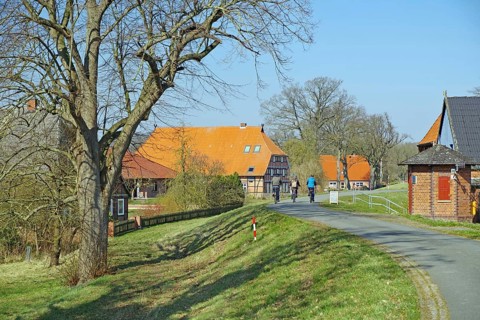Cyclists ride past trees on a path through a village with orange-coloured roofs, Elbe dyke,